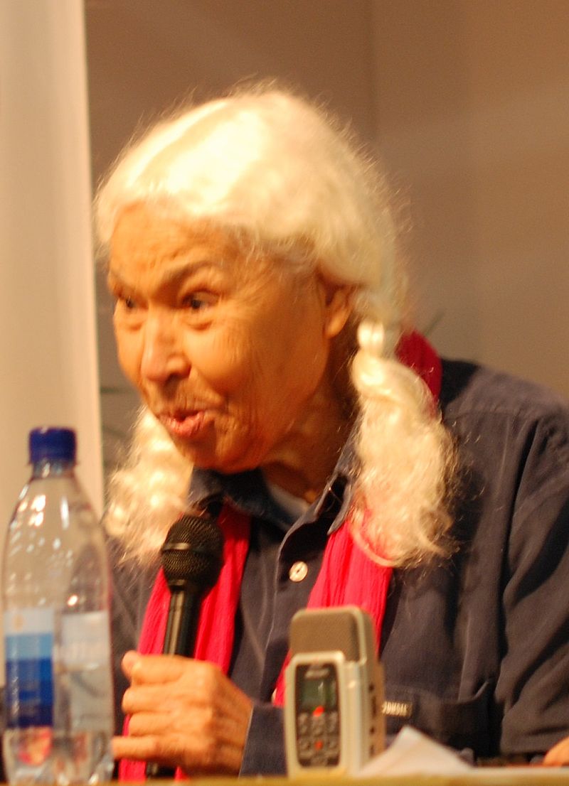 firdaus nawal el saadawi firdaus nawal el saadawi