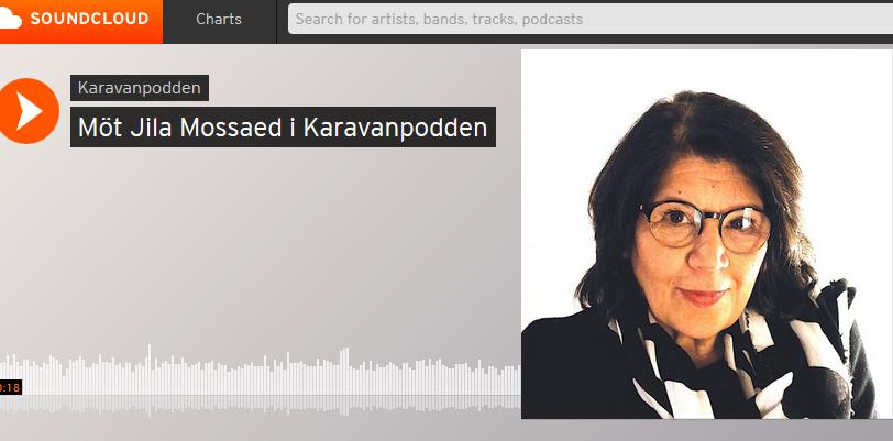 jila_mossaed_karavanpodd_2.jpg